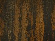 Zebra Copper Veneer